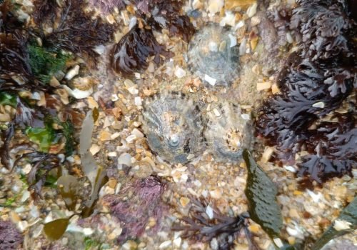 IMG_20260218_121921-1