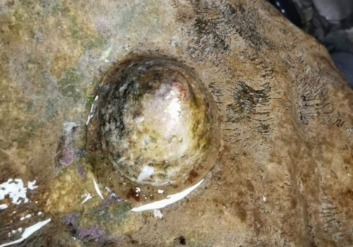 IMG_20260415_172630-1