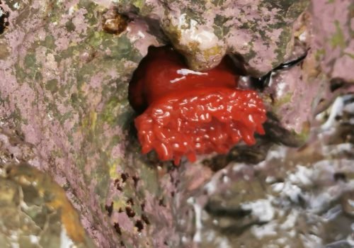 IMG_20260415_172741-1