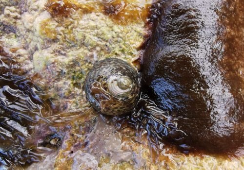 IMG_20260415_172938-1