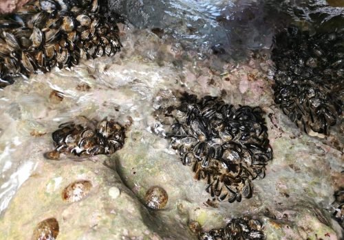 IMG_20260415_173033-1