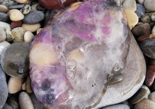 IMG_20260415_182114-1