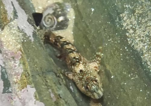 IMG_20260416_133617-1