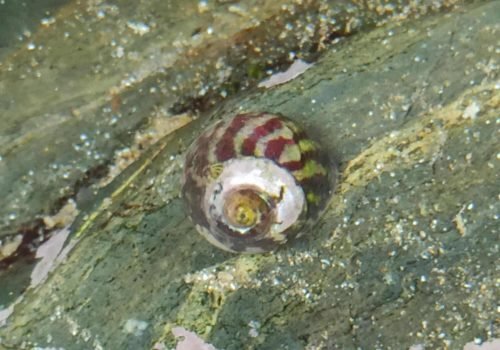 IMG_20260416_133643-1