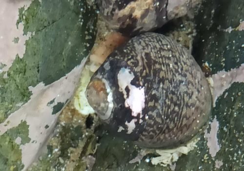 IMG_20260416_133650-1