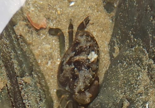 IMG_20260416_133702-1