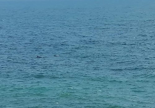 IMG_20260804_171940
