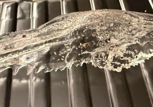 IMG_4035-Sabot-de-Venus_Plage-PG1-Campings_Mars26