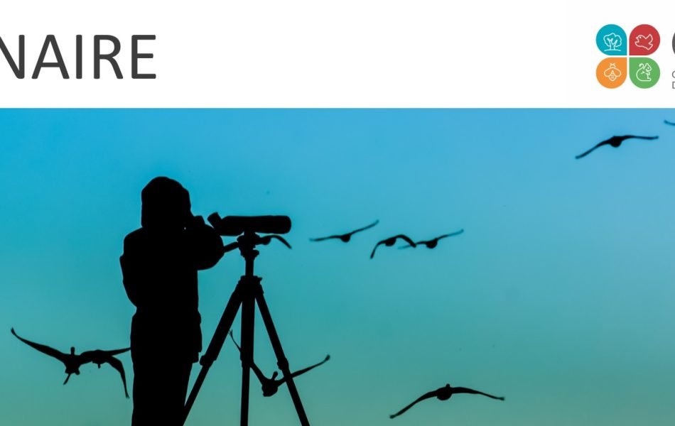 Illustration-webinaire-OPEN