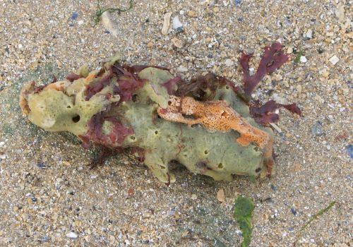 Messenger_creation_7B673CD9-E010-4B42-B743-C64892548AA9