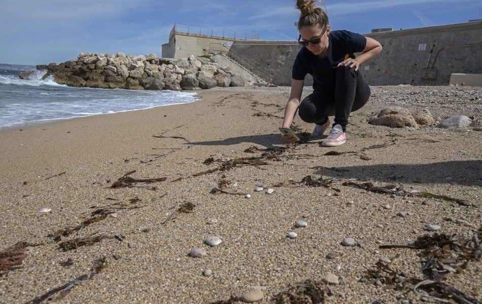 BioLitien - M.Jacquin-Planete Mer
