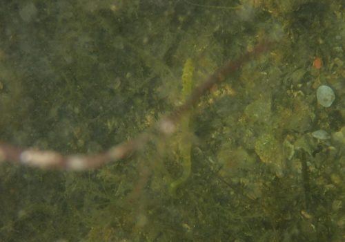 P9170022-1
