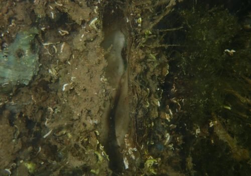 P9170032