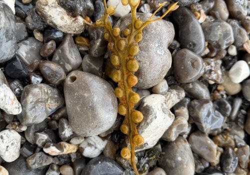 PHOTO-10