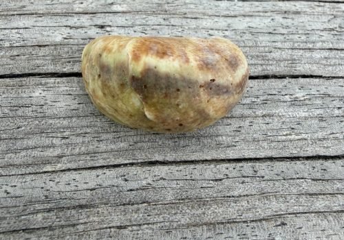 PHOTO-9