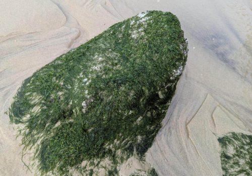 PXL_20251210_131454168