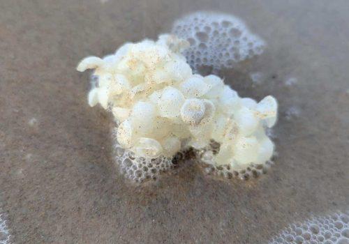 PXL_20251210_143753417