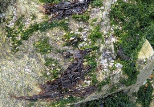 PXL_20260427_102217648-1