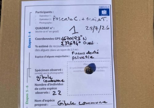 Q1_Gibbule_commune-1