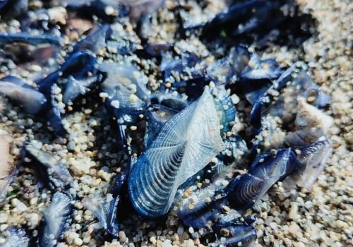 Screenshot_2026-03-07-13-40-28-25_99c04817c0de5652397fc8b56c3b3817