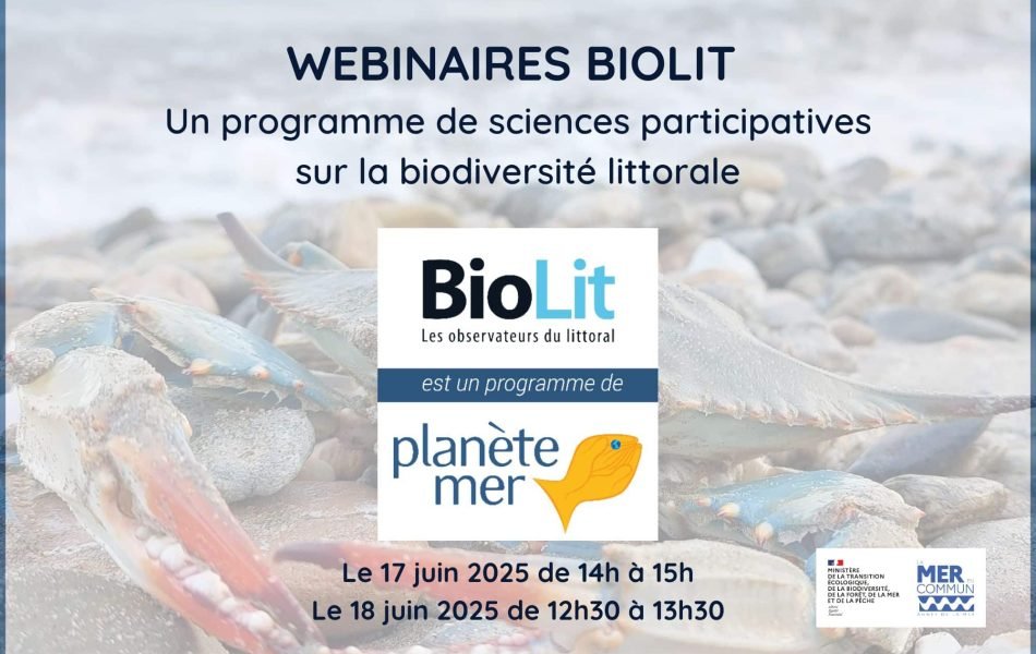 Webinaire NA