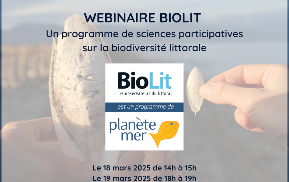 Visuel actu SDLM mars 2025