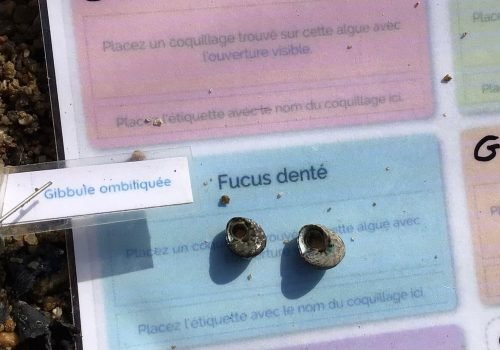 WhatsApp-Image-2026-03-27-at-14.34.27