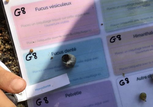 WhatsApp-Image-2026-03-27-at-14.34.45-Copie