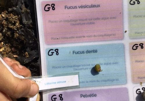 WhatsApp-Image-2026-03-27-at-14.34.48-Copie