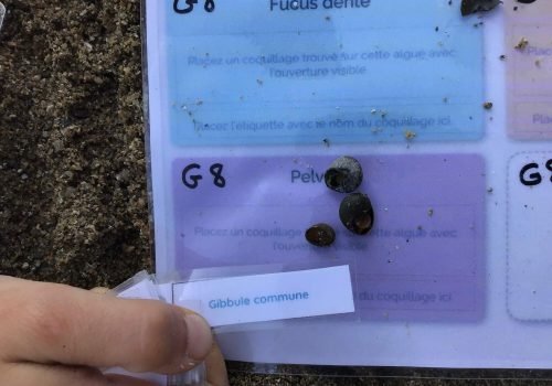 WhatsApp-Image-2026-03-27-at-14.34.51-1-Copie