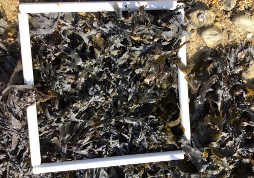 WhatsApp-Image-2026-03-27-at-14.34.51-Copie