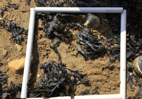 WhatsApp-Image-2026-03-27-at-14.35.58-1-Copie