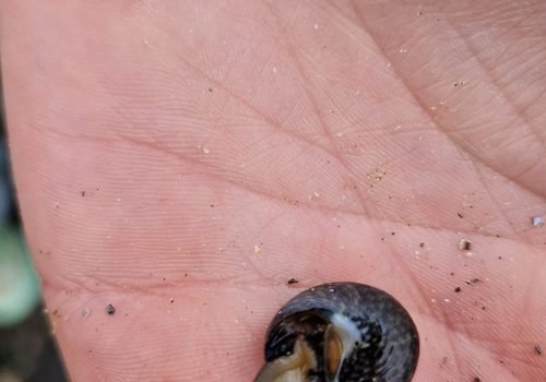 WhatsApp-Image-2026-04-02-at-09.10.26-5