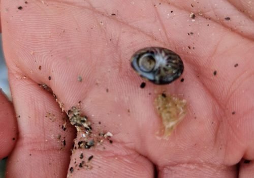 WhatsApp-Image-2026-04-02-at-09.10.27