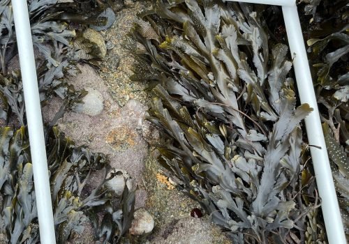 WhatsApp-Image-2026-04-02-at-09.20.06-2