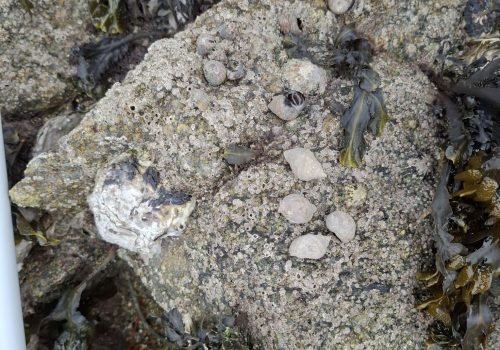 WhatsApp-Image-2026-04-02-at-09.20.08-2