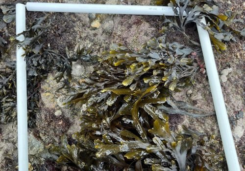 WhatsApp-Image-2026-04-02-at-09.20.13-1