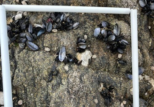 WhatsApp-Image-2026-04-02-at-09.20.14-1-1