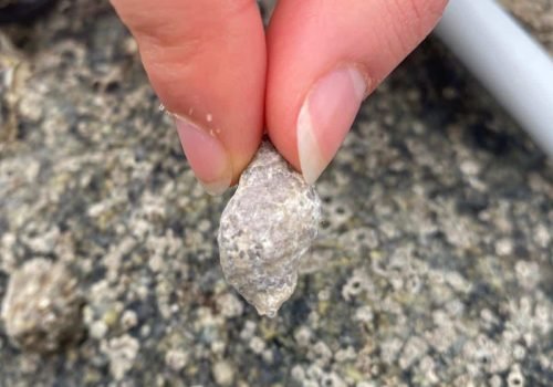 WhatsApp-Image-2026-04-02-at-09.35.41-3