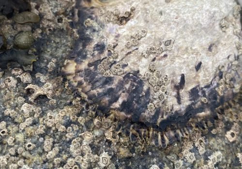 WhatsApp-Image-2026-04-02-at-09.35.41-4