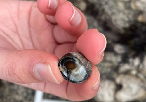 WhatsApp-Image-2026-04-02-at-09.35.42-1