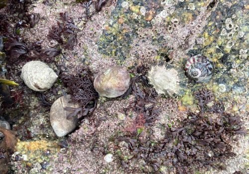 WhatsApp-Image-2026-04-02-at-09.38.13-2