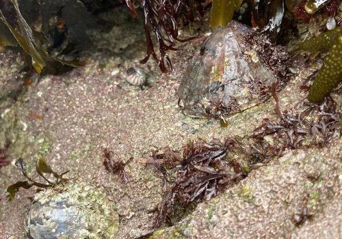 WhatsApp-Image-2026-04-02-at-09.38.13-4