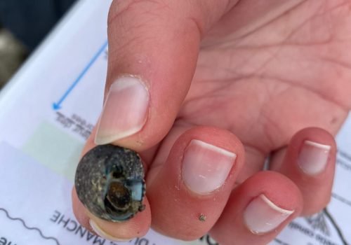 WhatsApp-Image-2026-04-02-at-09.53.52-2