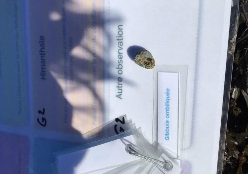 WhatsApp-Image-2026-04-09-at-11.54.33