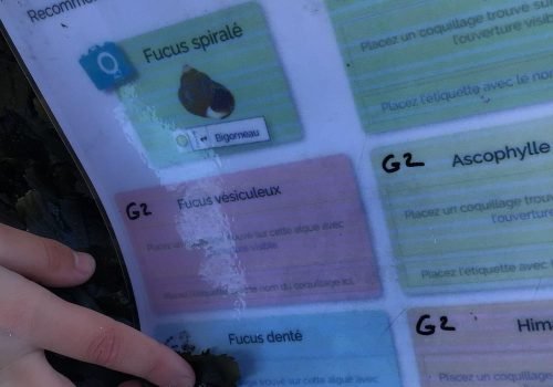 WhatsApp-Image-2026-04-09-at-11.54.34-2