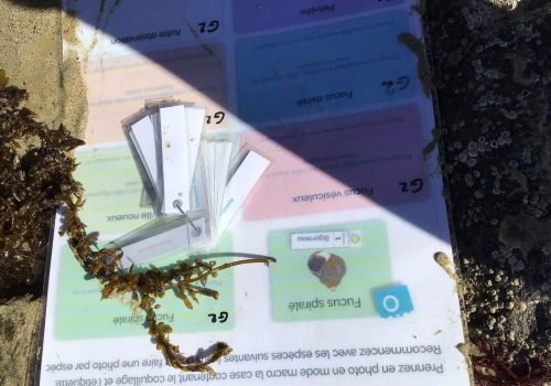 WhatsApp-Image-2026-04-09-at-11.54.35