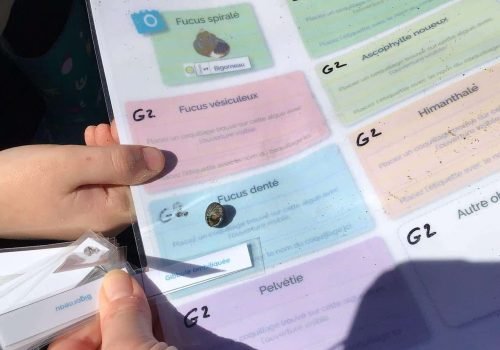 WhatsApp-Image-2026-04-09-at-11.54.36-2