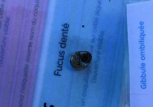 WhatsApp-Image-2026-04-09-at-11.54.37