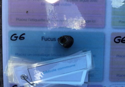 WhatsApp-Image-2026-04-09-at-11.54.39-1